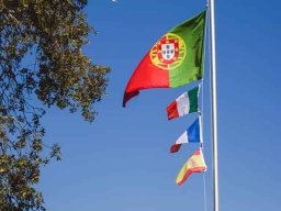 2023-09-29 SALAMANDRA II